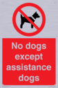 no-dogs-except-assistance-dogs~